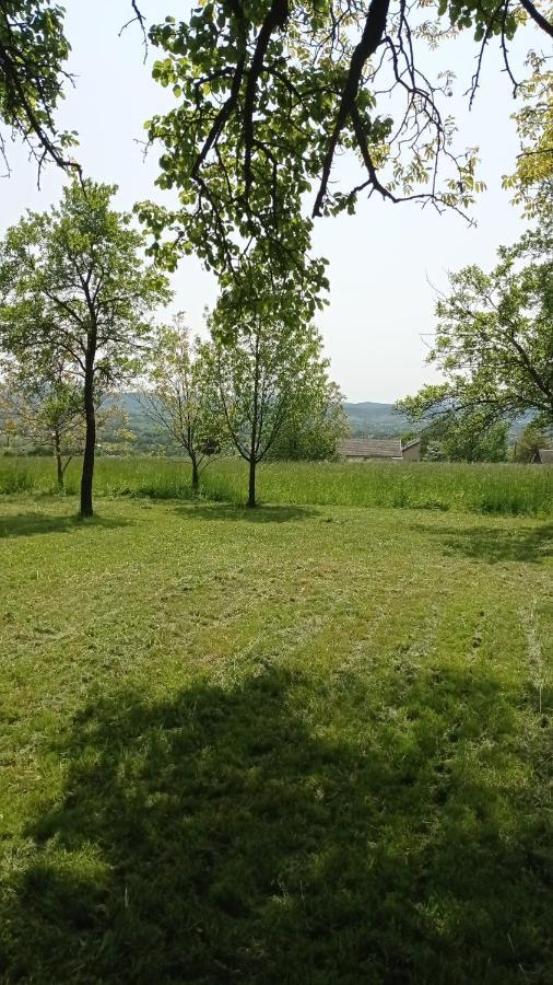 Oaza Milosci Lipinki  Exterior photo