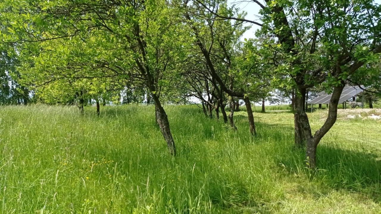 Oaza Milosci Lipinki  Exterior photo